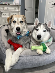 Nylabone Lobster Power Chew Toy three ends closeup showing multiple chewing surfaces