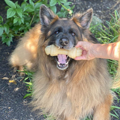 Nylabone Mega Knot Bone side profile highlights knot design for varied chewing angles.