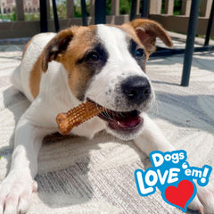 Nylabone Nubz large-dog size chew designed for dogs over 30 pounds.