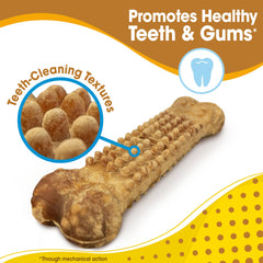 Nylabone Nubz USA-made packaging highlights quality and safety standards.