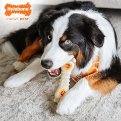 Nylabone real-chicken treats closeup shows savory aroma and crunchy texture.