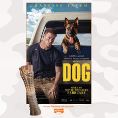 Nylabone Power Chew Camo dog toy dog-chewing-action for focused play