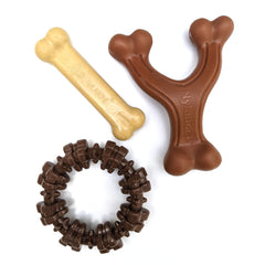 Nylabone Power Chew customer favorites pack closeup showcases durable toys designed for aggressive chewers.