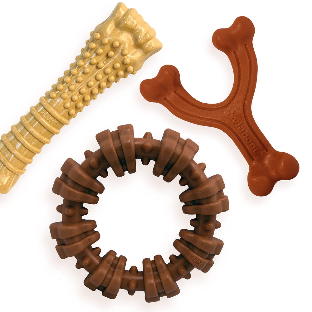 Nylabone Power Chew textured ring for durable engagement during aggressive chewing.