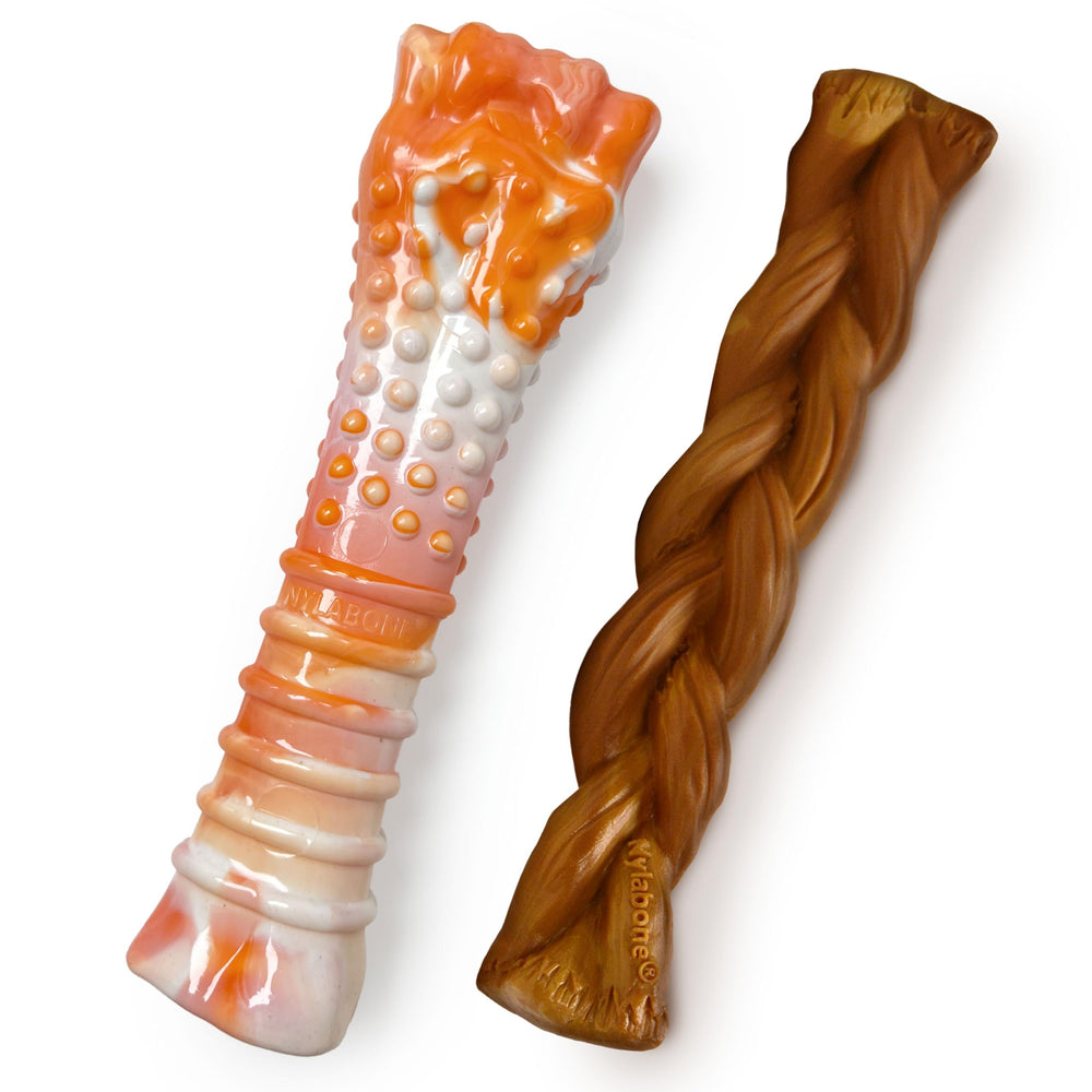 Nylabone textured knuckle bone in orange and white swirl offers long-lasting chew entertainment.