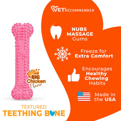 Nylabone teething bone textured detail supports developing teeth and gum comfort.