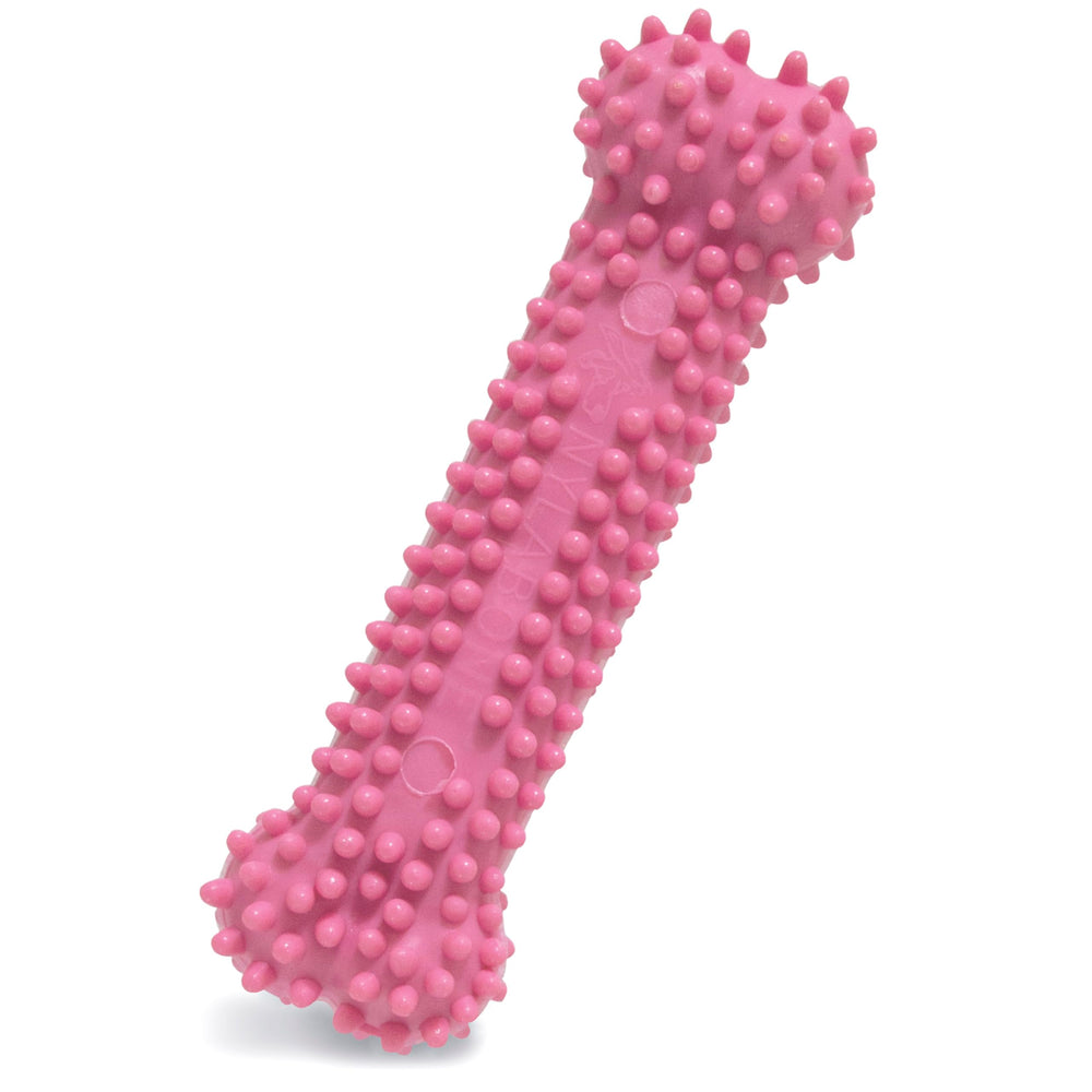 Nylabone textured teething bone puppy chew toy in pink chicken flavor for X-small dogs.