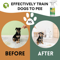 OAIEGSD safe formula highlighted as veterinarian-developed for pet and home safety