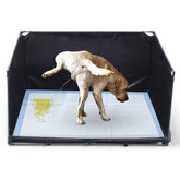 OCMML dog litter box indoor large setup showing spacious area for medium dogs