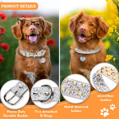 OCTBERSIEG bling diamonds dog collar on dog highlights eye-catching shine for compliments.