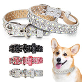 OCTBERSIEG rhinestone leather dog collar closeup shows sparkling crystals for stylish accessorizing.