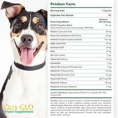 Ocu-GLO PB vision powder dispense shows easy dosing at mealtime for dogs