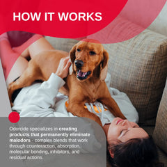 Odorcide 210 odor-targeting action demonstrates deep odor elimination.