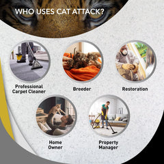 Odorcide Cat Attack applied to a carpet shows thorough saturation for odor treatment.