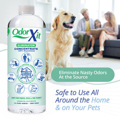 OdorXit application on carpet targets urine odors with natural ingredients.