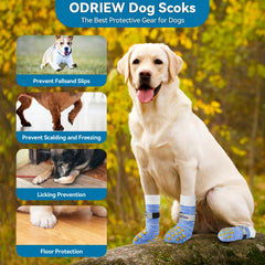 ODRIEW dog socks paw width chart illustration for proper fit