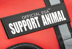 Official ESA Support Pets harness with secure buckles for reliable daily use.