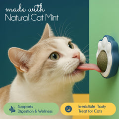 Oh My Cat! self-play toy setup demonstrates easy assembly and independent entertainment.