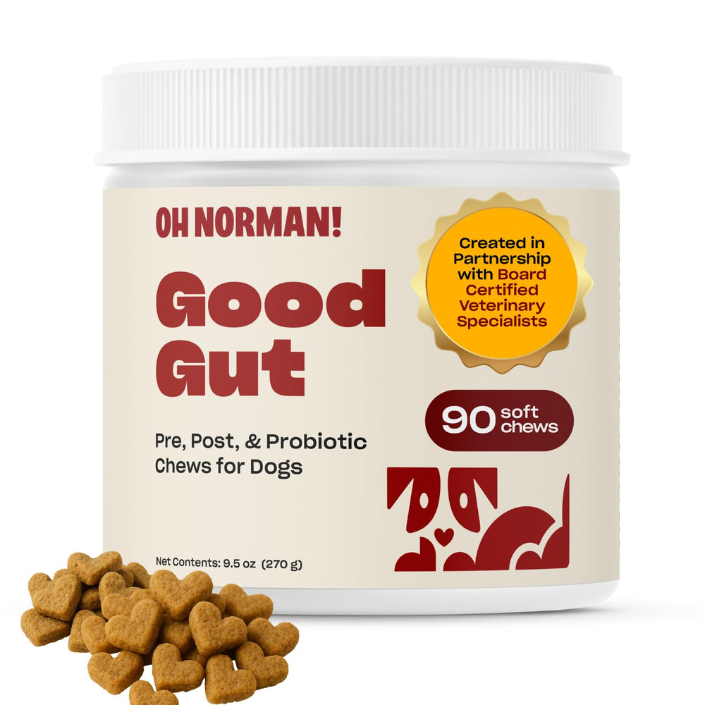 OH NORMAN! probiotic chews bottle front promotes canine gut health
