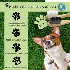 OH RIGBY dog toothbrush in action helps reduce plaque buildup during daily brushing.