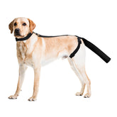 OHCOZZY dog tail protector in soft material supports comfortable healing