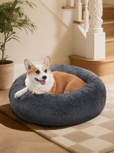 OhGeni 30in orthopedic donut bed foam close-up supports joints