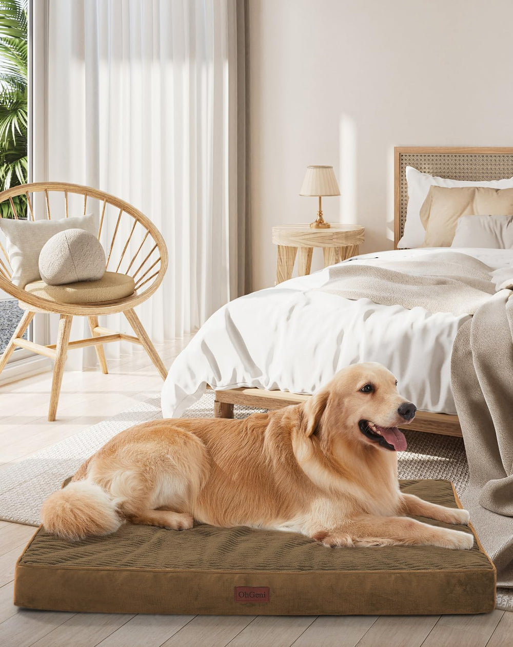 OhGeni orthopedic dog bed coffee cover and foam for plush comfort.