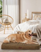 OhGeni orthopedic dog bed coffee cover and foam for plush comfort.