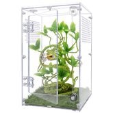 Oialonne large jumping spider enclosure front door for easy feeding and cleaning.