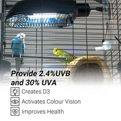 Oiibo AvianSun reflector design boosts light output for better coverage.