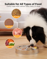Oiwliur stainless steel dog bowl close-up shows rust-resistant material.