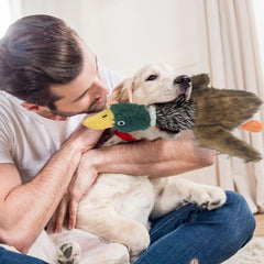 Okegztoa mallard duck toy shows soft-touch fabric and 3D shape.