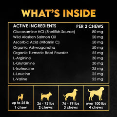 OKKÖBI dog enjoying a chew for potential healthy weight gain benefits