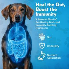 OKKÖBI bone broth cubes offer a tasty frozen treat for dogs.