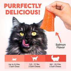 OKKÖBI cat enjoying chew-friendly treatment supports consistent daily bladder health.
