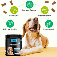 OKKÖBI chicken-flavor chews on paw-friendly surface shows bite-sized convenience