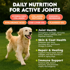 OKKÖBI Collagen for Dogs beef-flavor closeup highlights delicious chew for picky eaters.