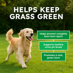 OKKÖBI digestive-enzyme chews close-up suggests gut-friendly maintenance