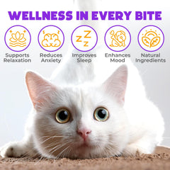 OKKÖBI cat tuna chews closeup shows soft texture for easy, stress-free dosing.