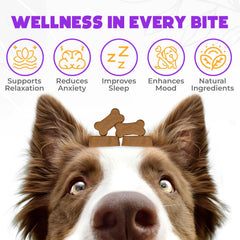 OKKÖBI hemp calming chews closeup highlighting tasty duck flavor and texture.