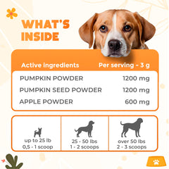 OKKÖBI pumpkin puree mixed with water for pet hydration and texture.
