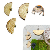 Okueejur 3-pack enclosure ledges arch provide secure resting spaces for jumping spiders.