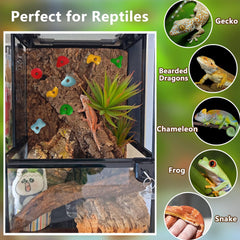Okueejur habitat enrichment rock holds demonstrating dynamic climbing setup for bearded dragons.