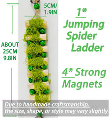 Okueejur Jumping Spider Bridge moss accents add natural texture and visual appeal.