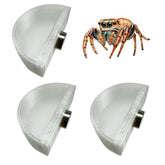 Okueejur jumping spider feeding dish setup with secure mounting.