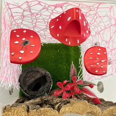 Okueejur Jumping Spider mushroom platforms 1.3-inch size for tiny enclosure corners and safe routes.