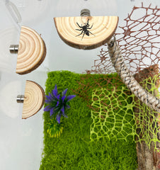 Okueejur magnetic attachment ledges show easy repositioning inside acrylic enclosures.