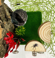 Okueejur natural pine ledges offer a non-toxic platform for arboreal pets.