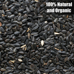 Old Potters Wildlife Black Oil Sunflower Seeds show authentic, unprocessed quality for bird feeding.