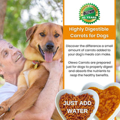 Olewo Original Carrots for Dogs poured over kibble illustrating nutritious food topper option